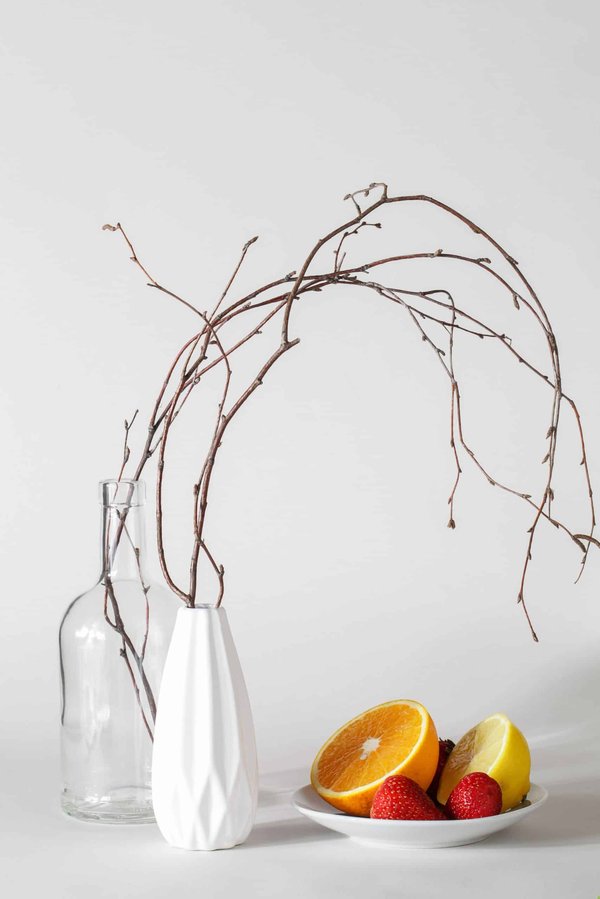 Peut-on souscrire une assurance pour une initiative de protection d'espèces menacées ?