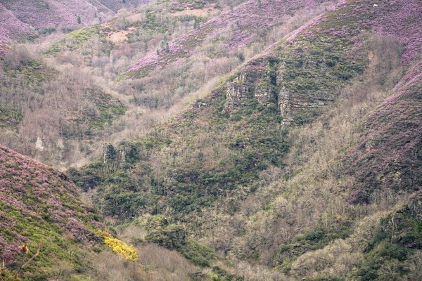 Comment optimiser la succession d'un patrimoine immobilier avec donation-partage?