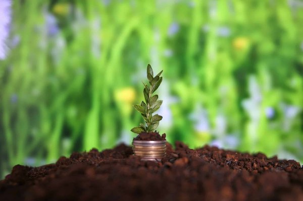 Pourquoi choisir une banque éthique pour vos finances ?